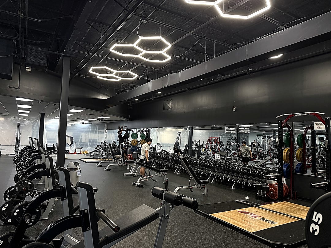 Power racks and free weights on the gym floor